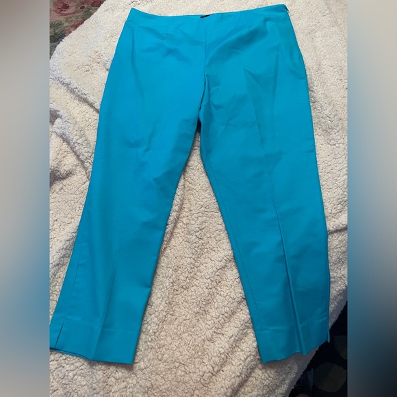 Investments Pants - 💲CLEARANCE💲 Investments Cropped ankle pants with side zip. Plus size 18